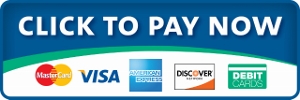 Pay Now-Logo-336x280